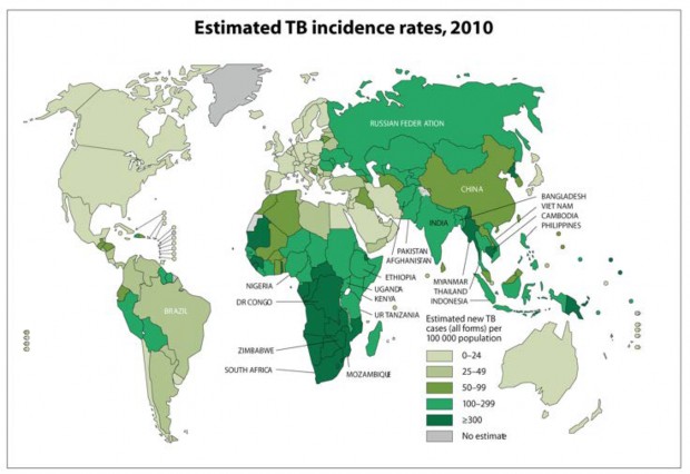 Figure 1: World Health Organization Global TB Incidence 2010 