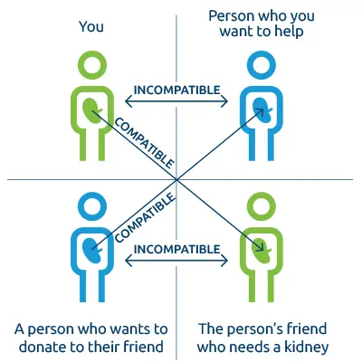 You want to donate a kidney to someone, but you are not medically compatible. Another person wants to donate a kidney to someone, but they also do not match. A computer matches you with a compatible recipient, and their donor matches with the person you want to help. Swapping donors allows both transplants to happen.
