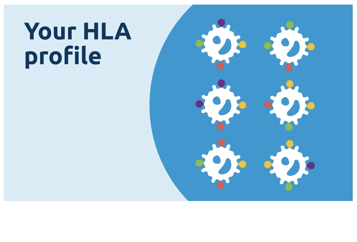Your HLA profile. Learn about CPRA.