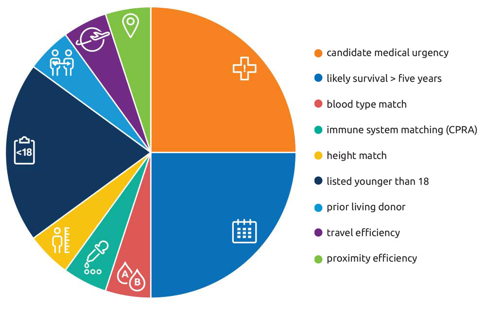 Lung composite allocation score pie chart.