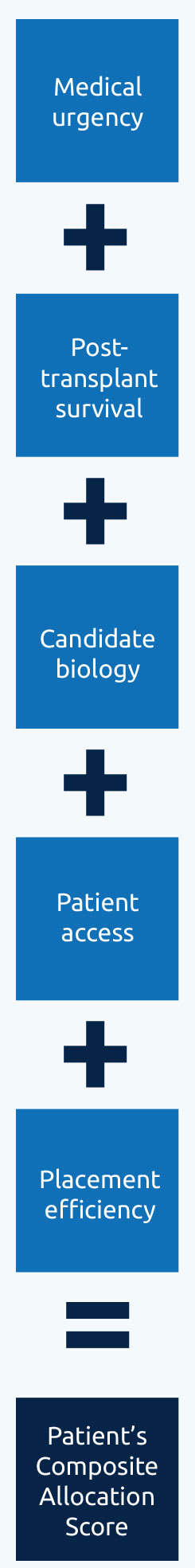 Specific attributes labeled in boxes in a line next to each other separated by plus signs. Medical urgency plus post-transplant survival plus candidate biology plus patient access plus patient efficiency equal a patient’s composite allocation score. Mobile image.